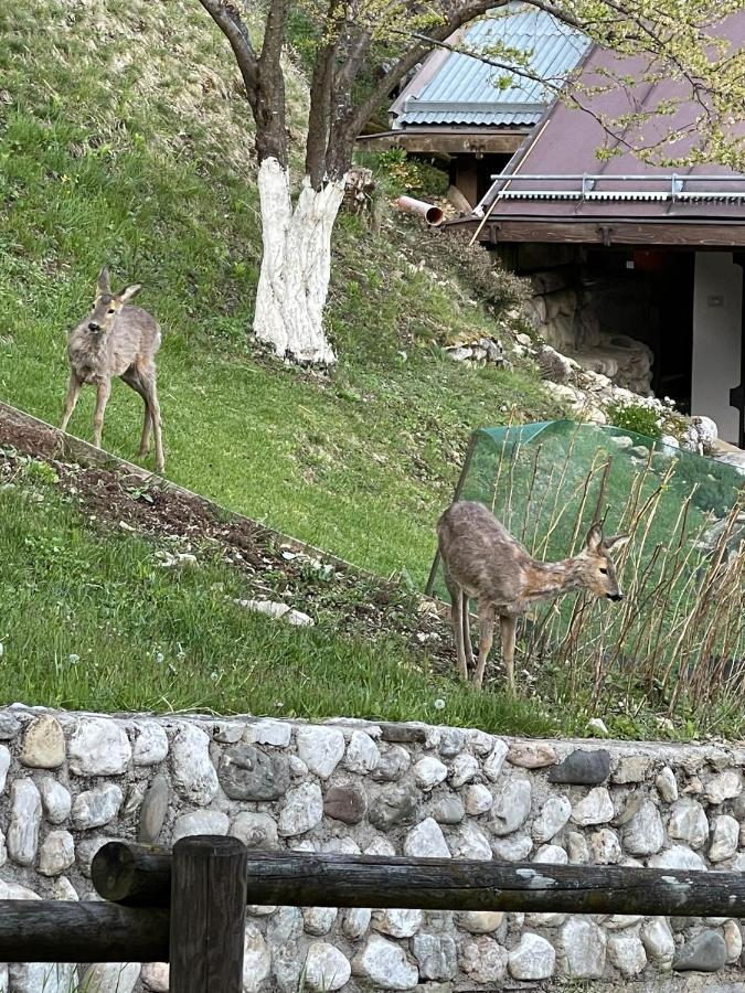 Appartamento In Montagna Venas Exteriör bild